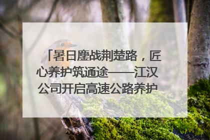 暑日鏖战荆楚路，匠心养护筑通途——江汉公司开启高速公路养护专项工程建设热潮